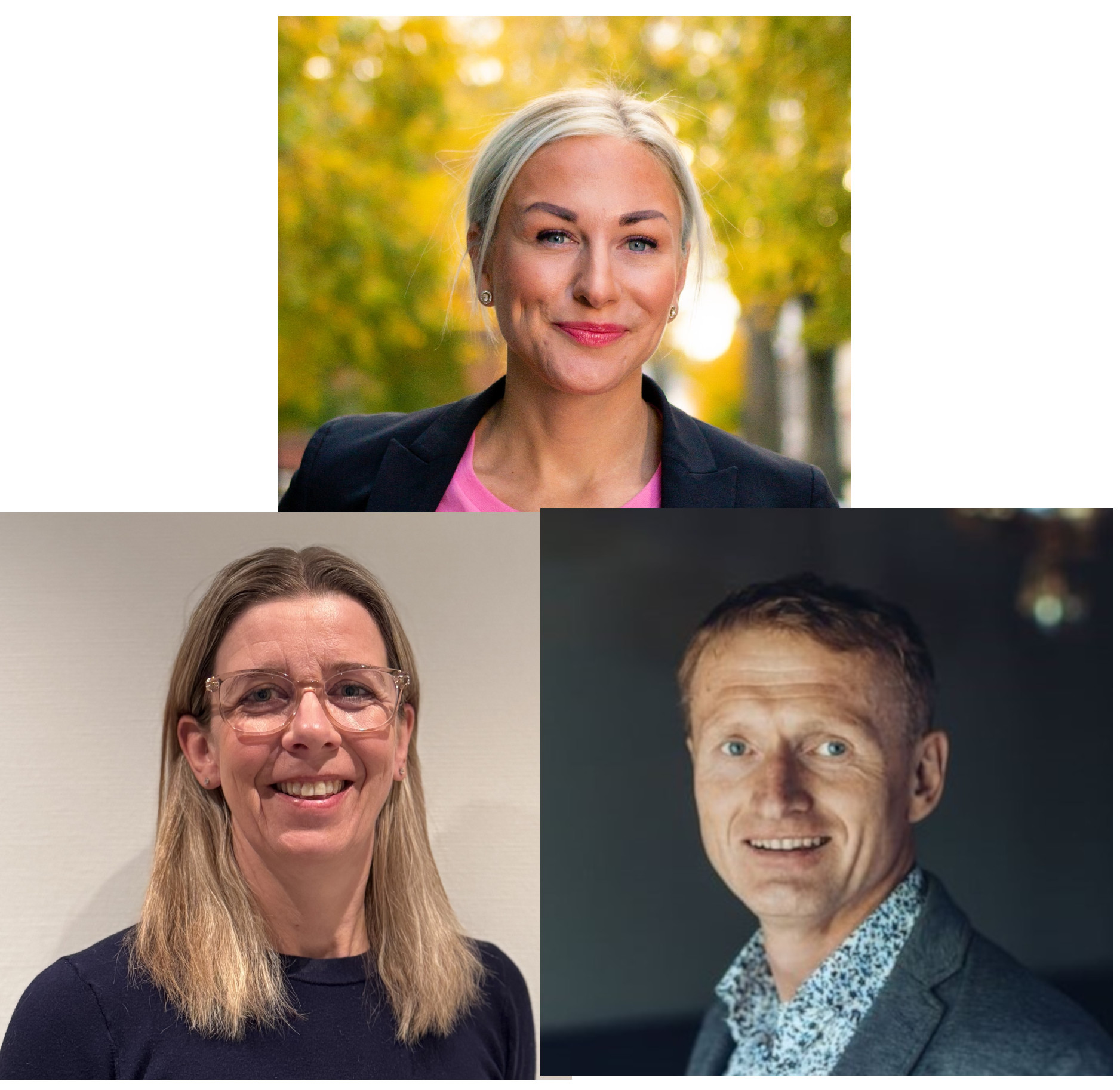 Bilder av foredragsholdere